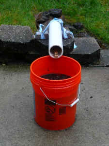 chipmunk_trap_front_view